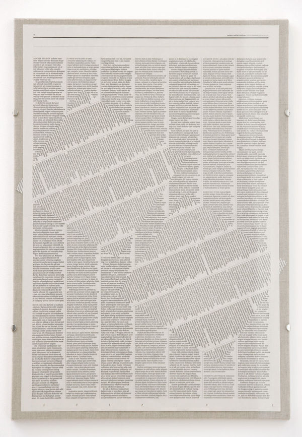 Voldorper 2009 newsprint, UV glass, raw linen 62 x 42.7 cm